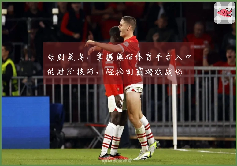 告别菜鸟，掌握熊猫体育平台入口的进阶技巧，轻松制霸游戏战场