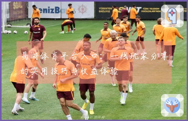 易游体育平台入口：一线玩家分享的实用技巧与收益体验